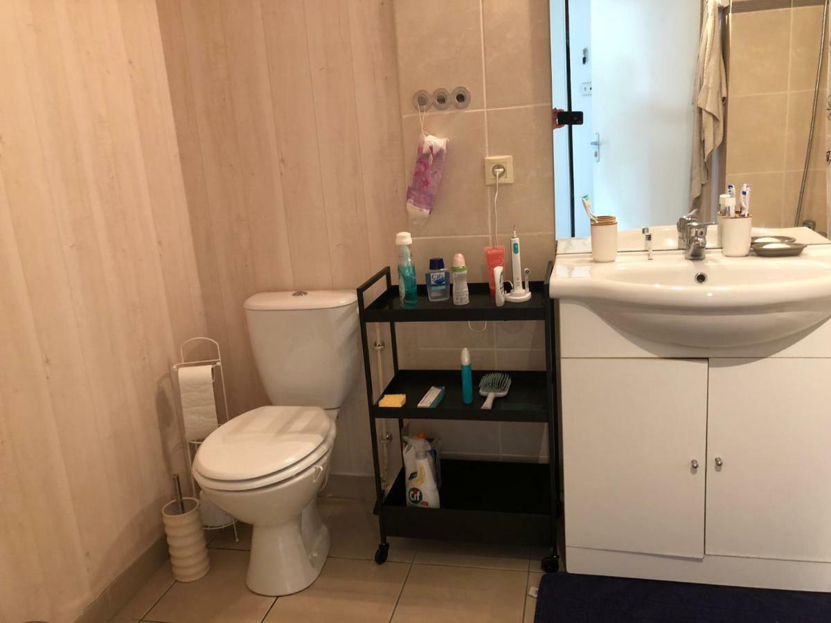 Appartement Au Milieu Des Lacs, Au Bord Du Guiers Aoste 외부 사진
